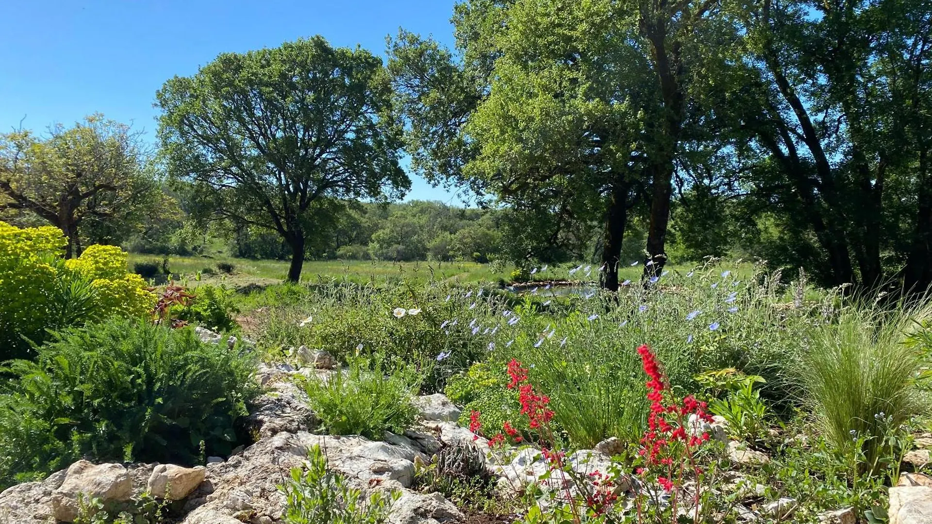 Bed & Breakfast Bed and Breakfast Le Domaine Quercus Senaillac-Lauzes Francie