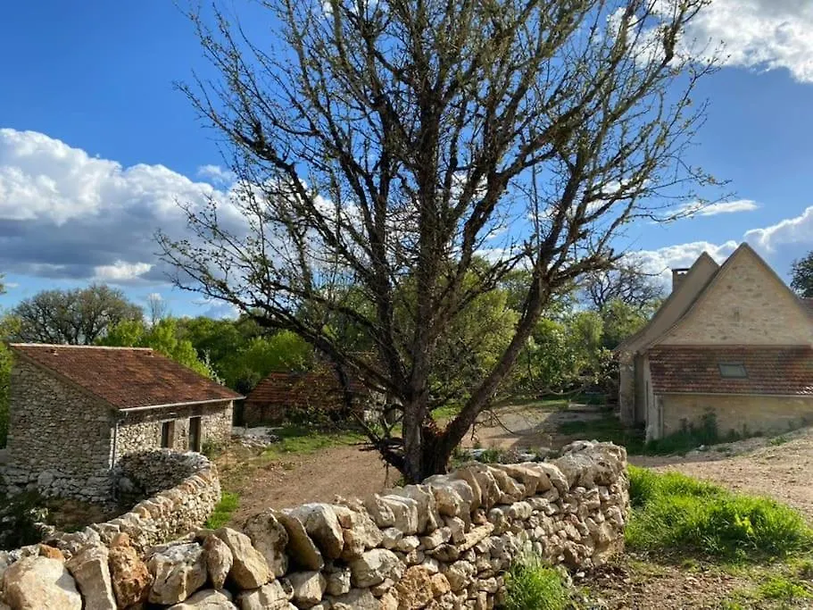Bed & Breakfast Bed and Breakfast Le Domaine Quercus Senaillac-Lauzes Francie