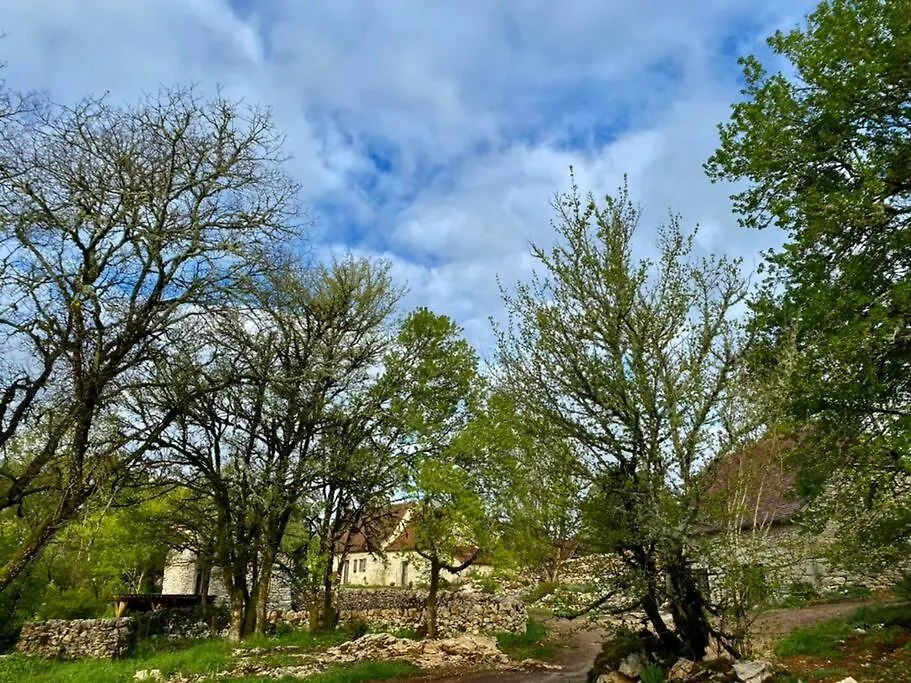 Bed and Breakfast Le Domaine Quercus Senaillac-Lauzes